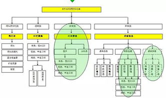 从养殖场到展示台 中擂品牌策划赋能江丰实业肉鸡全产业链整合营销